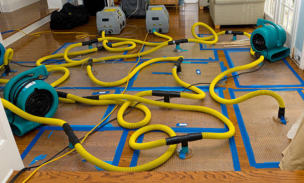 Professional Flood Damage Restoration technician working in Page, ND